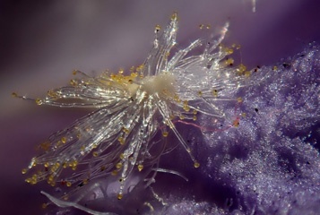 PB111110a.jpg